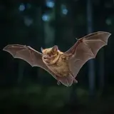 Bat exclusion